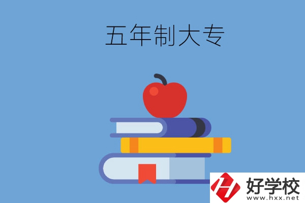 長沙開設(shè)教育類專業(yè)的五年制大專有哪些？