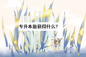 專(zhuān)升本能獲得什么？