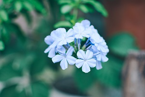 擴招后報考人數(shù)是否會激增？