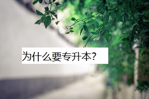 為什么要專升本？