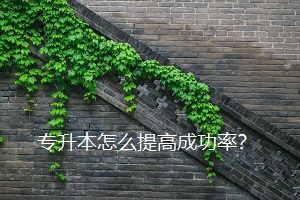 專升本怎么提高成功率？