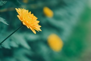 精做真題，查缺補(bǔ)漏