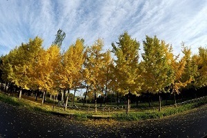 大專第三年才開始準(zhǔn)備普通專升本考試來得及嗎？該如何備考？