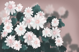 能否報(bào)考？