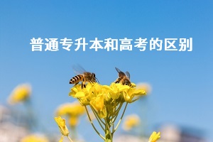 普通專(zhuān)升本和高考之間有什么差別？哪個(gè)更難考？