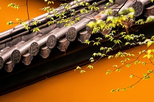 普通專升本備考的第一步是先擇校還是先選專業(yè)？