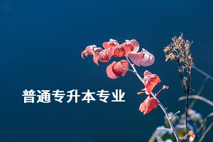 荊楚理工學(xué)院專升本的專業(yè)有哪些？專業(yè)考試難不難？