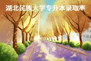 湖北民族大學專升本錄取率
